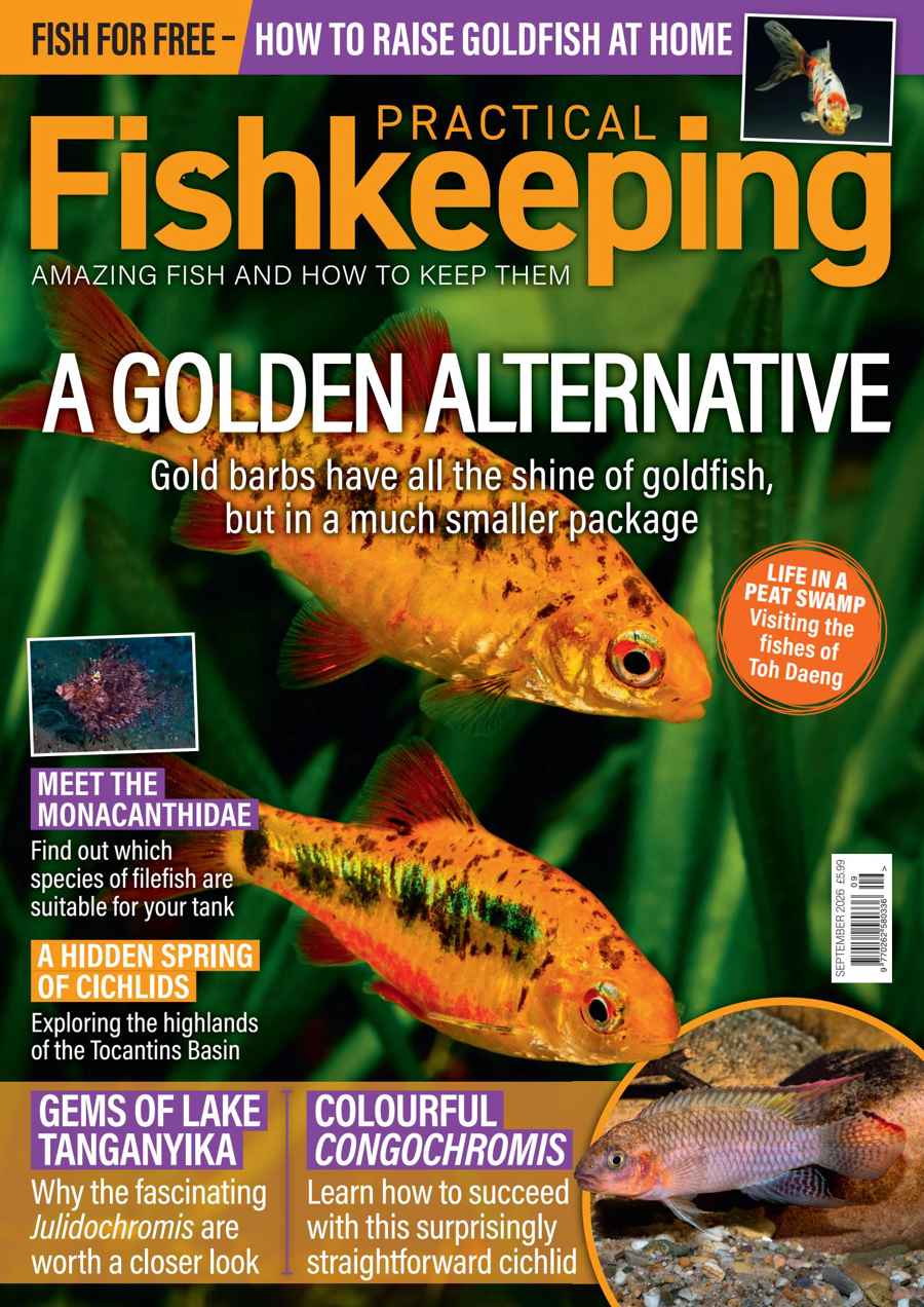 Practical Fishkeeping issue September 2026