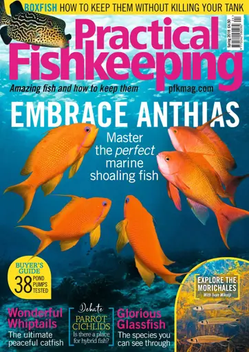 Practical Fishkeeping Preview