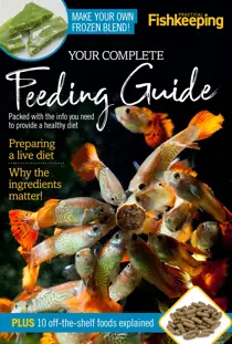 Practical Fishkeeping Your Complete Feeding Guide