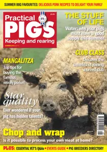No.15 Top tips for buying the famous woolly porker! 
                issue No.15 Top tips for buying the famous woolly porker!
