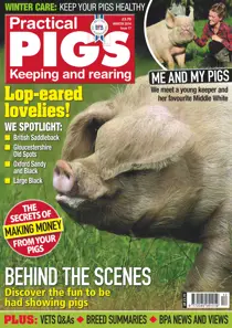 No.17 Lop-eared Lovelies 
                issue No.17 Lop-eared Lovelies