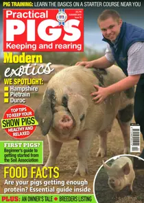 No.19 Modern Exotics 
                issue No.19 Modern Exotics