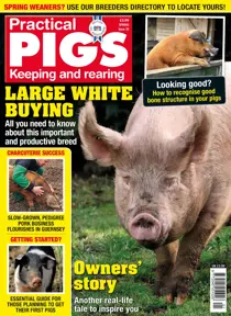 Spring 2018 
                issue Spring 2018