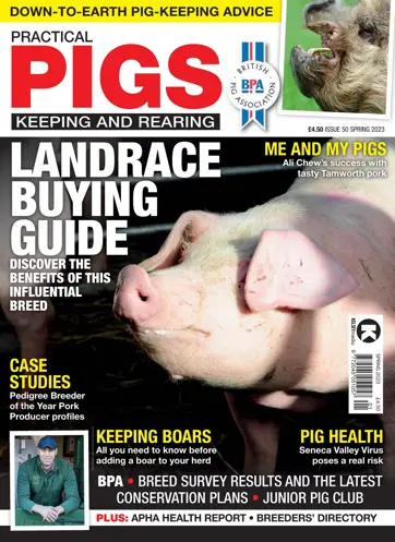 Practical Pigs Preview