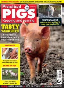 Practical Pigs Summer 2021