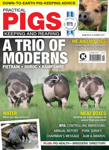 Practical Pigs Preview