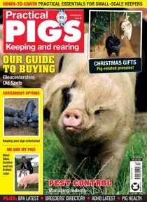 Practical Pigs Winter 2021