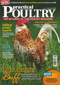 Back garden beauties August 2013 
                issue Back garden beauties August 2013