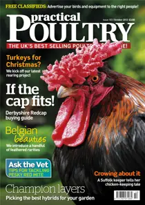 Choosing the best Hybrids Oct 12 
                issue Choosing the best Hybrids Oct 12