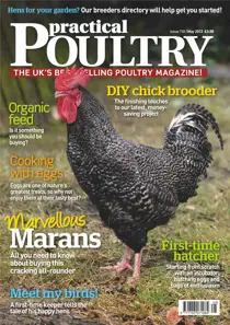 Marans - the dark egg May 2013 
                issue Marans - the dark egg May 2013