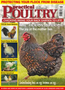 May/Jun 19 
                issue May/Jun 19