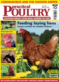 May/June 2020 
                issue May/June 2020