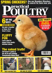 No. 149 Fluffy Fun 
                issue No. 149 Fluffy Fun