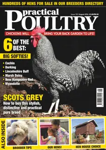 No. 153 - Scots Grey 
                issue No. 153 - Scots Grey