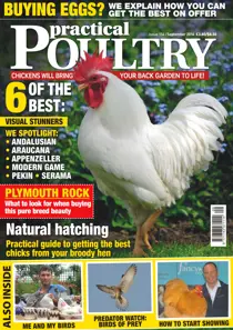 No. 154 Natural Hatching  
                issue No. 154 Natural Hatching 