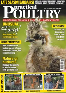 No. 155 - Unusual Fancy!  
                issue No. 155 - Unusual Fancy! 