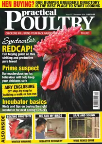 No. 157 Spectacular Redcap! 
                issue No. 157 Spectacular Redcap!