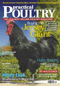 No.123 Buying the Jersey Giant 
                issue No.123 Buying the Jersey Giant