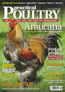 No.125 Araucana 
                issue No.125 Araucana