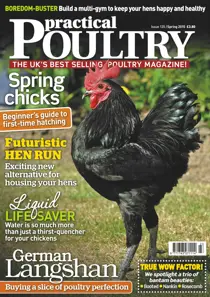 No.135 German Langshan 
                issue No.135 German Langshan