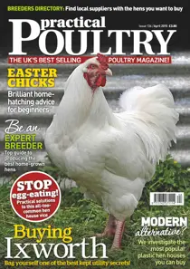 No.136 Buying Ixworth 
                issue No.136 Buying Ixworth