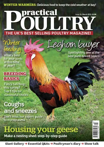 Practical Poultry Preview