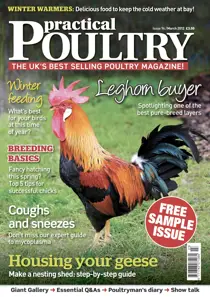 Practical Poultry Sample Issue 
                issue Practical Poultry Sample Issue