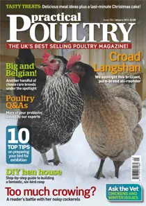 Showing your birds January 2013 
                issue Showing your birds January 2013