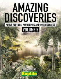 Amazing Discoveries 5 
                issue Amazing Discoveries 5