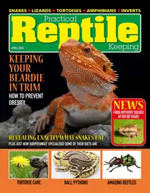 April 2025 
                issue April 2025