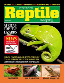 August 2026 
                issue August 2026