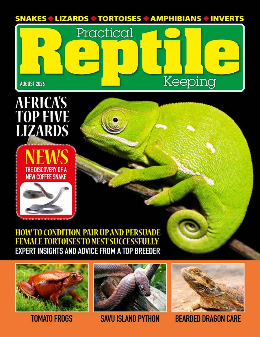Practical Reptile Keeping issue August 2026