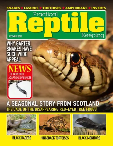 Practical Reptile Keeping Preview