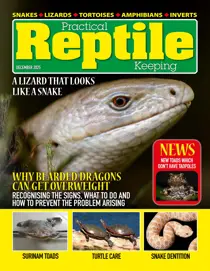 Practical Reptile Keeping issue December 2025