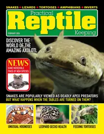 Practical Reptile Keeping February 2024