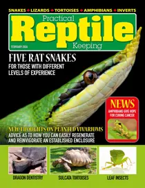 Practical Reptile Keeping 
                issue February 2026
