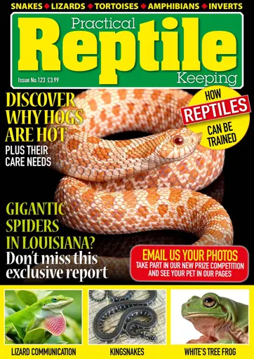 Practical Reptile Keeping Preview