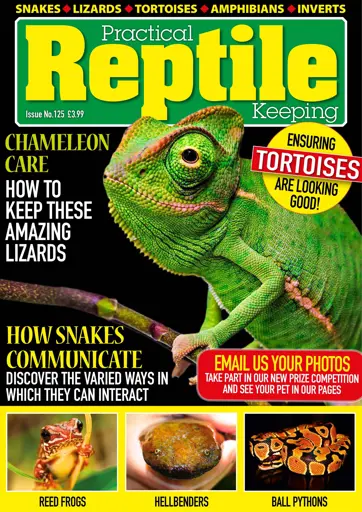 Practical Reptile Keeping Preview