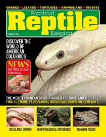 Practical Reptile Keeping January 2024