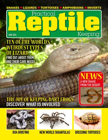 Practical Reptile Keeping Preview