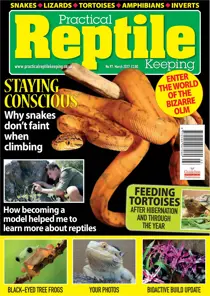March 2017 
                issue March 2017
