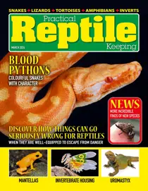 Practical Reptile Keeping March 2024