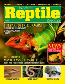 Practical Reptile Keeping May 2024