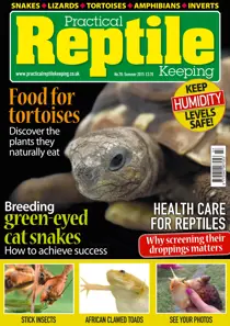 No. 78 Food for Tortoises 
                issue No. 78 Food for Tortoises