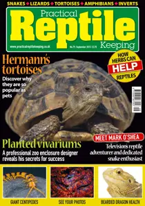 No. 79 Hermann's tortoises 
                issue No. 79 Hermann's tortoises