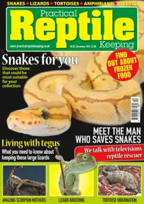 No. 82 Snakes for you 
                issue No. 82 Snakes for you