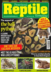 No 89- The Appeal Of The Ball Python 
                issue No 89- The Appeal Of The Ball Python