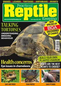 No. 90 Talking Tortoises 
                issue No. 90 Talking Tortoises