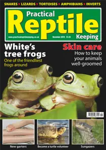 No.18 White's Tree Frogs 
                issue No.18 White's Tree Frogs