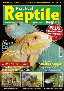 No.27 Coloured Iguanas 
                issue No.27 Coloured Iguanas